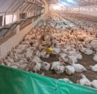 بهرهبرداری هوشمند از زمینهای غیرقابل کشت؛ الگویی برای توسعه پایدار و امنیت غذایی بهرهبرداری هوشمند از زمینهای غیرقابل کشت؛ الگویی برای توسعه پایدار و امنیت غذایی