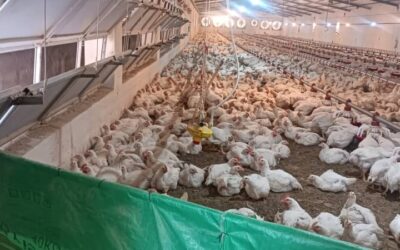 بهرهبرداری هوشمند از زمینهای غیرقابل کشت؛ الگویی برای توسعه پایدار و امنیت غذایی بهرهبرداری هوشمند از زمینهای غیرقابل کشت؛ الگویی برای توسعه پایدار و امنیت غذایی