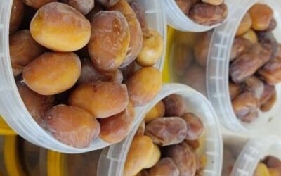 قیمت رطب در شهرستان‌های استان چقدر است؟